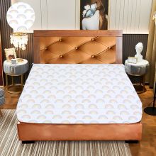 Cotton Bed Sheet-Set